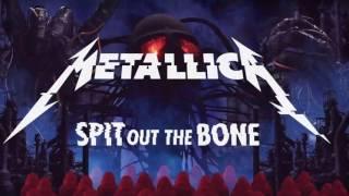 Metallica - Spit Out The Bone Only Drum Backing Track