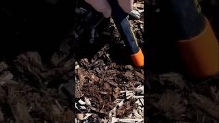 Garrett AT MAX scores. #garrett #treasure #metaldetecting