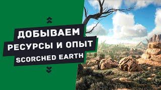 ГАЙД — ГДЕ добывать ресурсы и опыт на карте Scorched Earth (Farming resources on Scorched Earth)