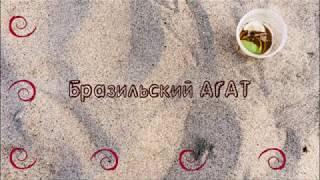 Бразильский АГАТ