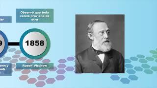 32. Una revolución en el conocimiento:  el microscopio