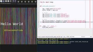 How to resize/scale an image in Python using PIL?