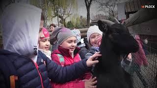 ZOO Płock