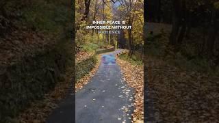 Mastering Patience: The Key to Inner Peace with Brian Weiss ‍️ #shorts #inspiration #mindfulness