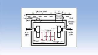 Septic System Basics