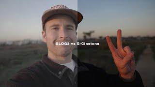 The Best Sony Picture Profile | SLOG3 vs S-Cinetone