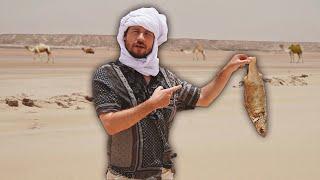 Why are there fish under the sand of the Sahara desert? | DAKHLA 