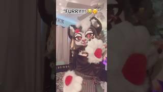 Wow! Who knew! #furry #cosplay #fursuitfriday #costume #fursuit #cute #fursona #cat #cutecat #mascot