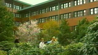 ОРТ. Дисней-Клуб - Новости. 1998 (2)