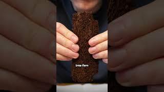 How to make a tiny terrarium