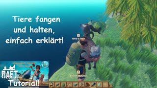 Raft Tutorial / Tiere fangen und halten, einfach erklärt! / Gameplay Deutsch