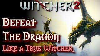 The Witcher 2: How to Defeat the Dragon - COMPLETE Guide