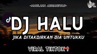 DJ HALU VIRAL TIKTOK TERBARU 2024 !