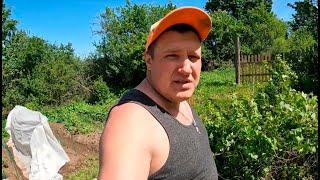 Решили снести колодец, расчищаем вокруг