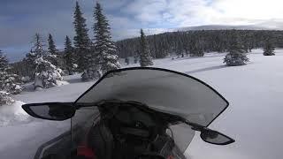 2020 Ski-Doo Expedition SE 900 ACE Turbo off trail in fresh pow !