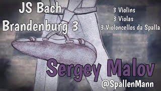 Bach Brandenburg Concerto 3 played by Sergey Malov (@Spallenmann)