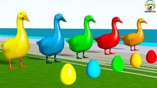 Learn Colors with Duck lay Eggs Colors Cartoon for Kids