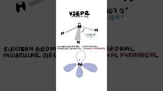 sp3 Orbital Hybridization of Nitrogen in Ammonia NH3 - Organic Chemistry #stemeducation #stem #chem