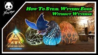 How To Get Your First Wyvern Eggs - Without A Wyvern | ARK: Survival Ascended