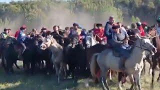 БУЗКАШИ ДАР ФЕДЕРАЦИИ РОССИИ РАЁН РАМЕНСКОЕ МОСКОВСКОЙ ОБЛАСТИ 23.09.2024