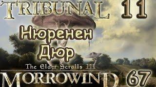 [67/11] TES III Morrowind  [Fullrest Repack v.1,4]Нюренен Дюр