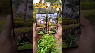 Samsung Galaxy A55 vs Vivo V40 Pro Camera Test #samsunga55 #vivov40pro #trending #shotrs