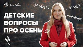 Детские вопросы про осень. Почему листья желтеют осенью?  Биология | TutorOnline