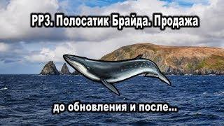 РР3. Полосатик Брайда. Продажа до обновления и после обновления 28.12.2018г