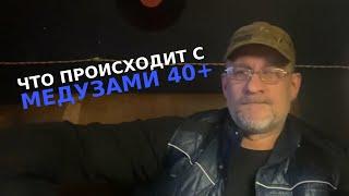 Что происходит с медузами 40+!!!