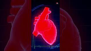Boost Heart Health by Switching to Potassium Salt