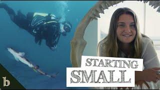 Starting Small - A Short Film about the Small Spotted Catshark