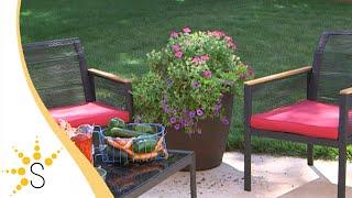 Sunnydaze Anjelica Polyresin Outdoor Flower Pot Planter - Rust-DG-844