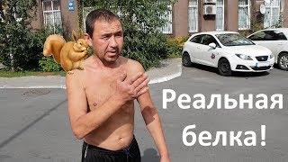 У мужика реальная белка!