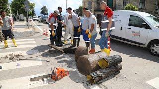 Ordu’da ekipler gözlerine inanamadı! Kanalizasyondan 1 metre genişliğinde kütük çıkarıldı