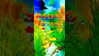 #доброеутро Улыбнись новому дню️