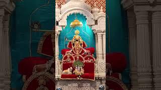 Jai Ranchhodrai #kanudo #krishna #jagannath #ranchhodrai #viralvideo