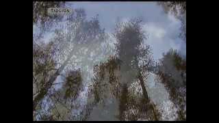 Sibelius : Tapiola (Full) - Neeme Järvi (DGG)*