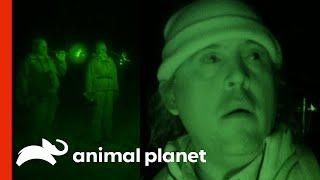 A Mysterious Creature Answers The Team's Calls | Finding Bigfoot