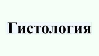 Гистология