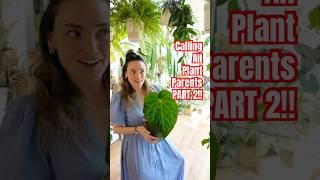 Hey plant parents! Tag me in yours  #houseplants #plantcommunity #plants #gardening #indoorplants