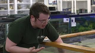 Rogers Report April 2019: Marine Biology lab tour