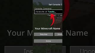 COOL MINECRAFT JAVA EDITION COMMANDS  #minecraft #shorts