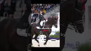 #equestrian #horseriding #horses #edit #pov @Equestrian_edits-1