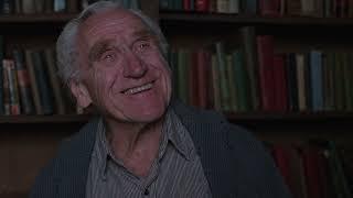 Andy get s job as a librarian - I'm Dekins | 4k Scene The Shawshank Redemption [Open Matte]