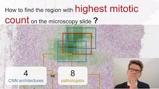 Region of Interest for Mitotic Count in Microscopy Slides