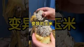 感染黑粉病的玉米 #有趣 #科普 #玉米  #全球看点 #黑粉菌