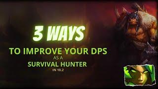 My top 3 tips to improve your DPS as survival hunter | Dragonflight season 3 | #Warcraft