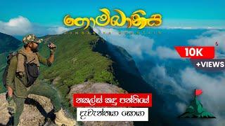 Gombaniya Mountain Hike | සුන්දර ගොම්බානිය  තරණය | Highest in Knuckles Mountain Range | Sri Lanka