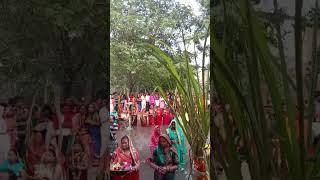 chhathi Maiya ke geet. Sarita Sinha Patna 