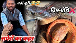 सपेरों से सावधान। cobra snake। cat snake। snake rescue।#teamazn